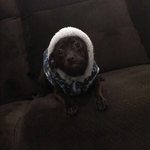 Meet your Posher, Jazmine